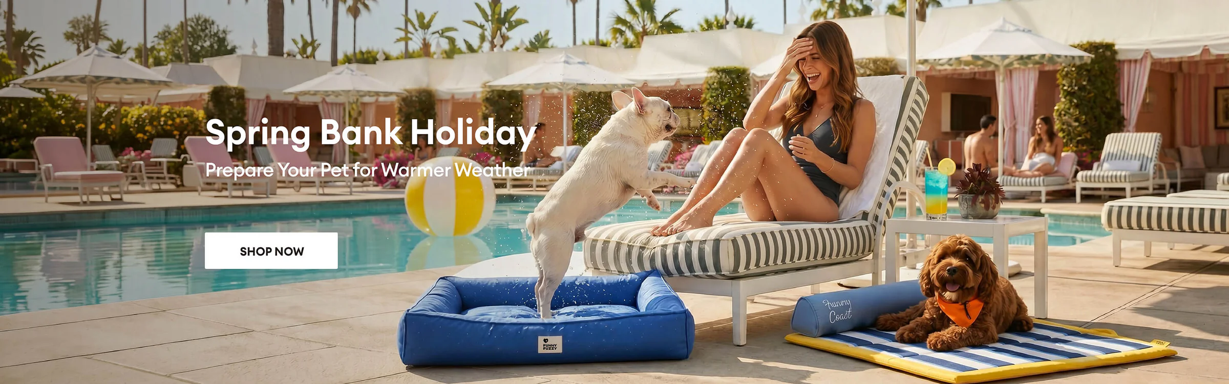 Extraordinary Comfort For Every Pet