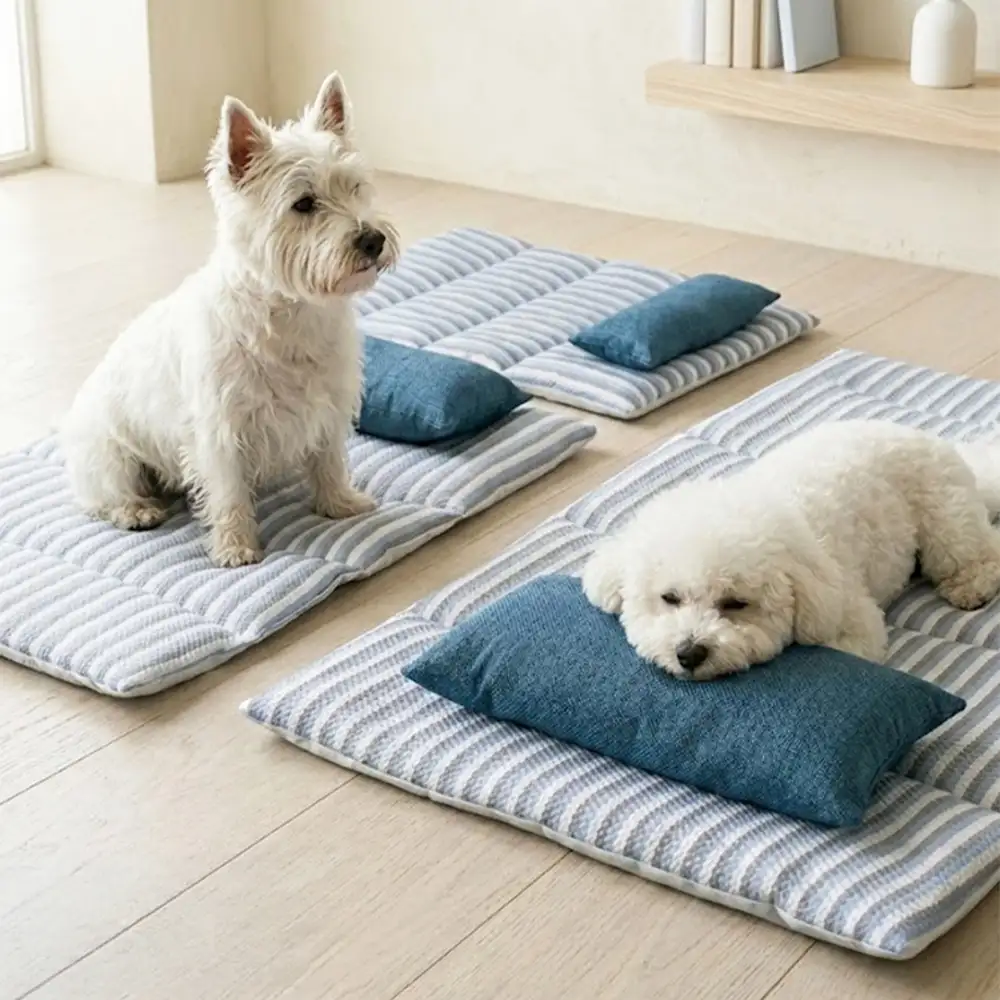 New Launch - Dog Beds
